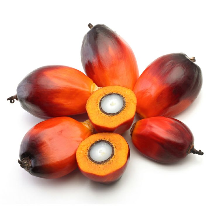 palm kernel